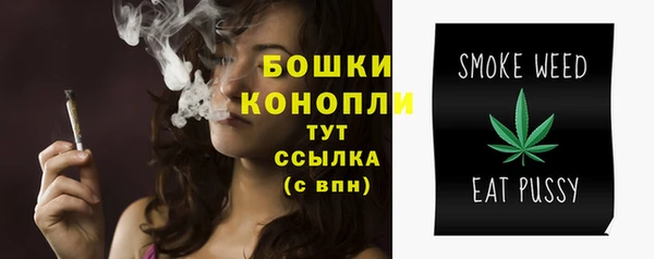таблы Дмитриев