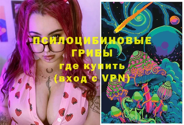 таблы Дмитриев
