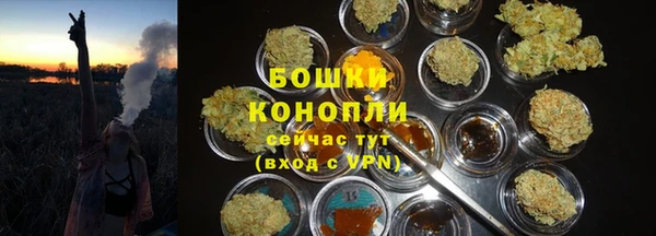 хмурый Чекалин
