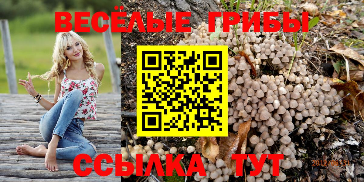 Галлюциногенные грибы Psilocybine cubensis Всеволожск