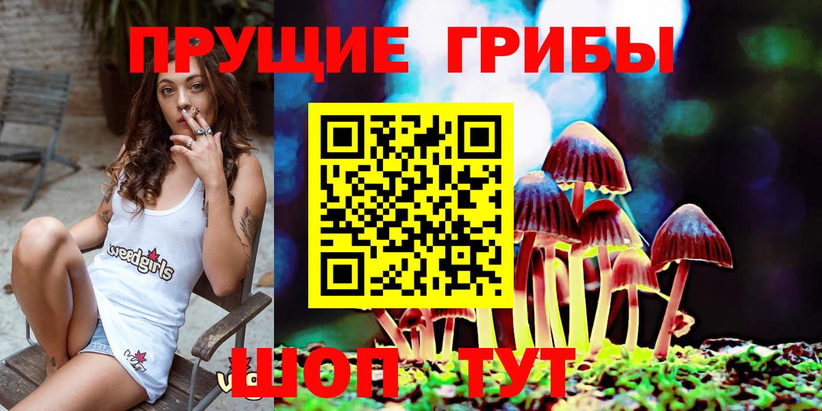 Галлюциногенные грибы Psilocybe Всеволожск