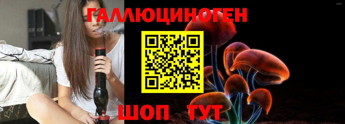 Галлюциногенные грибы GOLDEN TEACHER  Псилоцибиновые грибы мухоморы  Всеволожск 