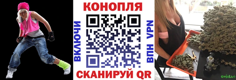 дарк нет Telegram  Всеволожск  Бошки Шишки ГИДРОПОН  где купить  